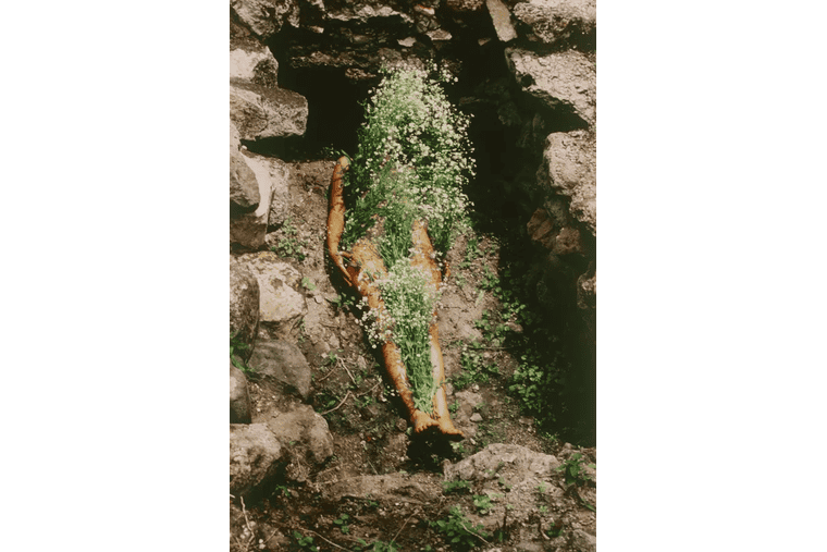 One of over 200 photographs from Mendieta's Silueta series 